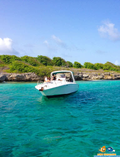 excursion Marie-galante Nemo