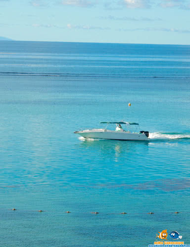 Excursion bateau petite-terre