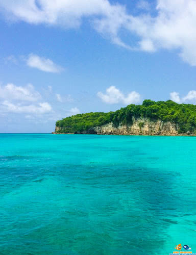 Excursion à la plage de Marie-galante