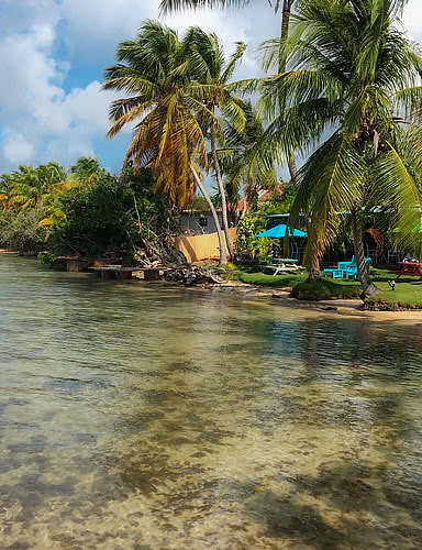 plage excursion guadeloupe marie galante