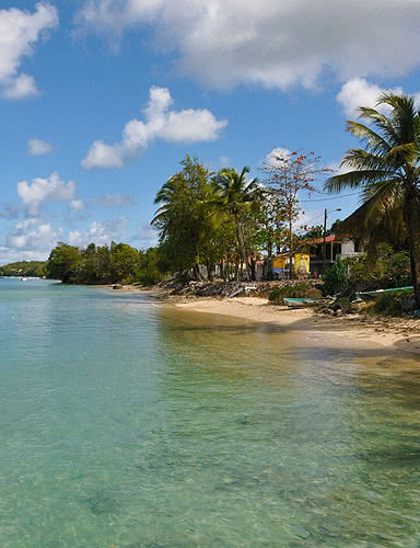 plage excursion marie galante