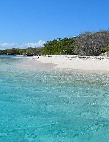 plage petite terre