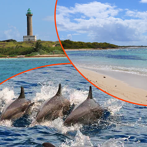 Excursion en bateau petite-terre